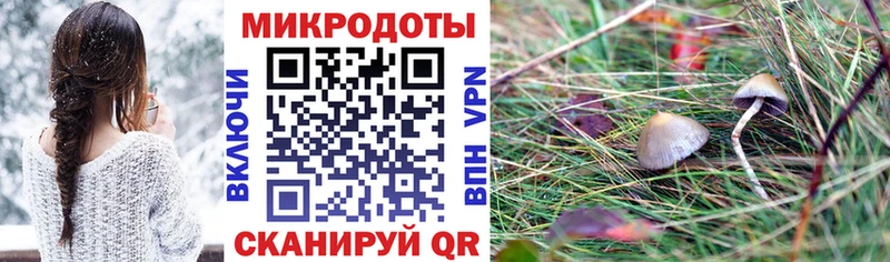 Галлюциногенные грибы GOLDEN TEACHER Сычёвка